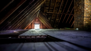 Attic inspection