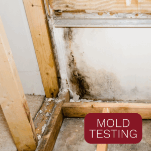 Mold Testing by Real Inspection Services